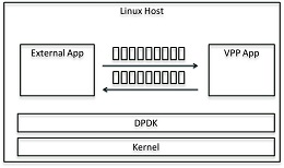 VPP Communication Through Low Level API