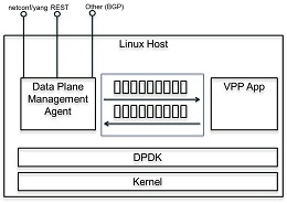 Figure: API Through Data Plane Management Agent