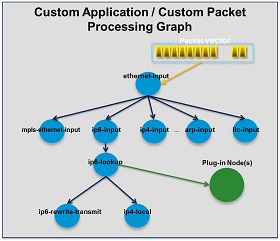 Custom Packet Processing Graph