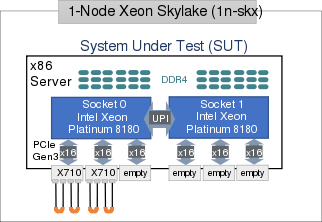 Testbed Physical Topology: 1-Node Xeon Skylake (1n-skx)